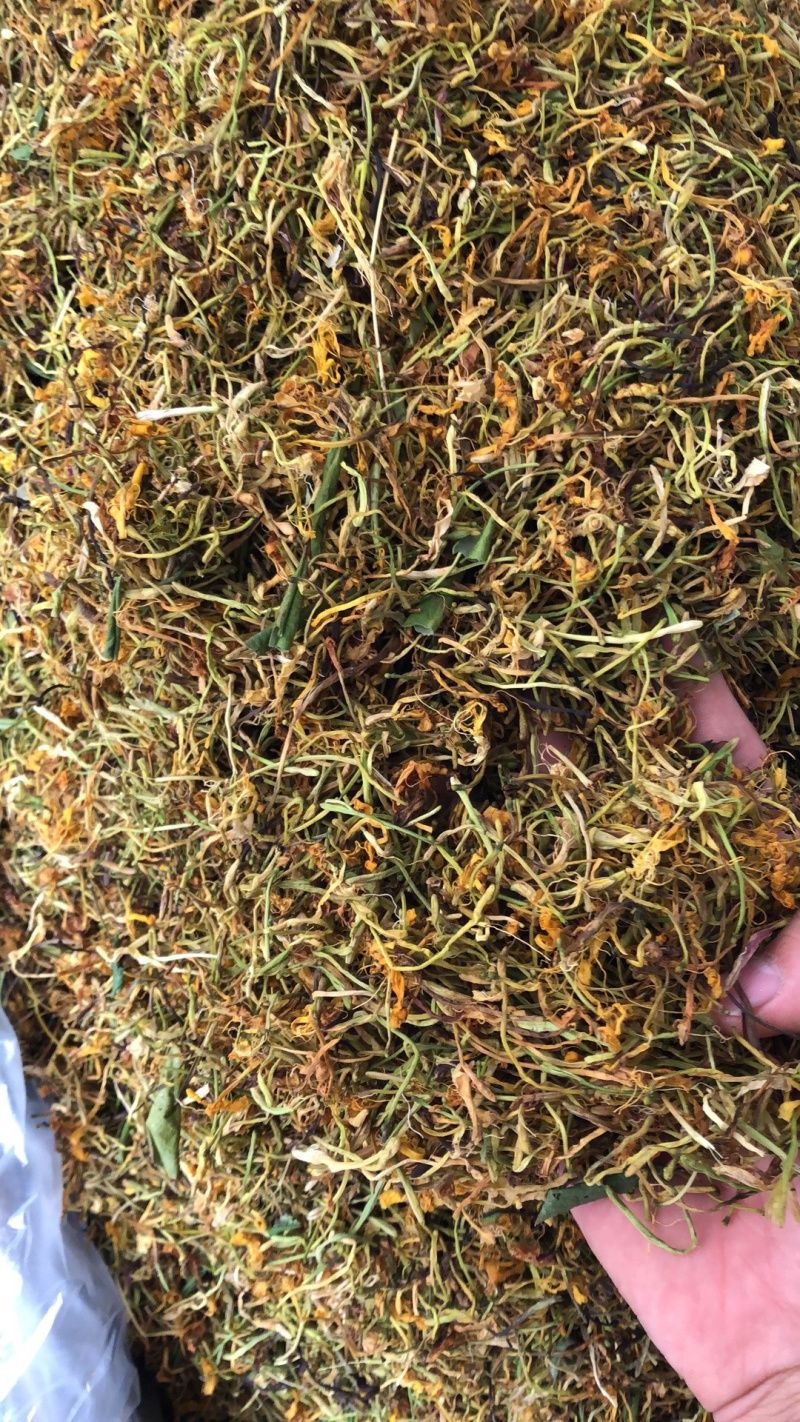 金银花野生货今年新货足干味道香质量好