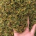 金银花野生货今年新货足干味道香质量好