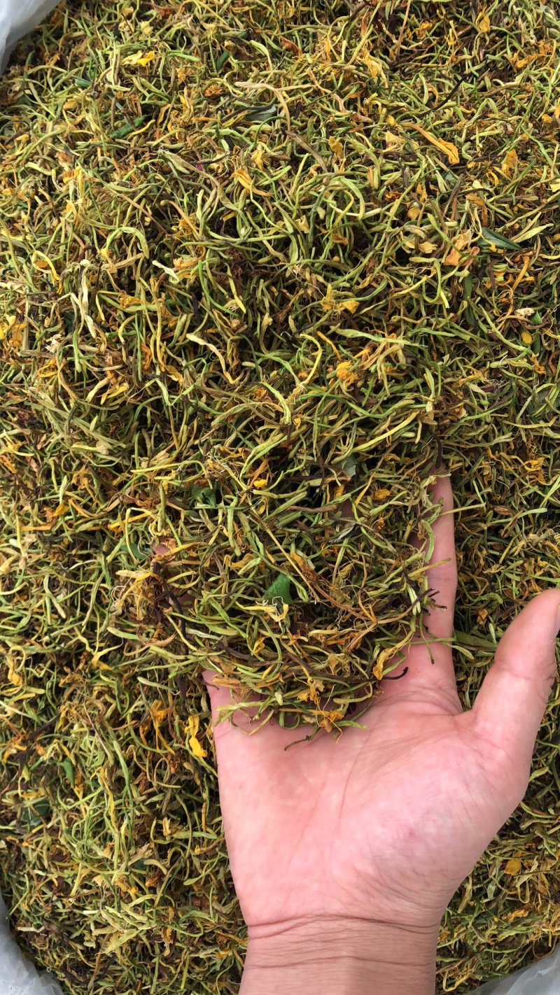 金银花野生货今年新货足干味道香质量好