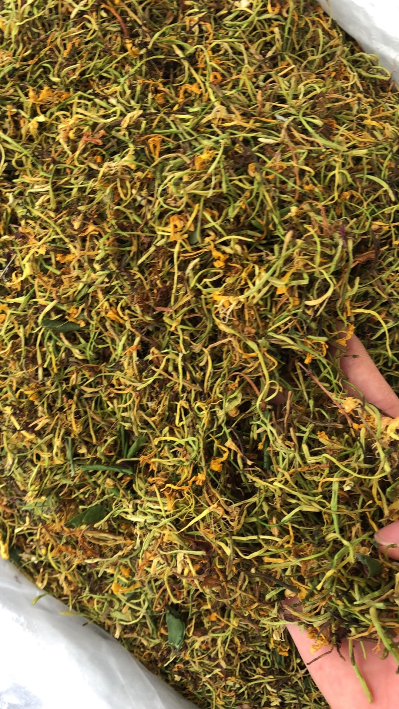 金银花野生货今年新货足干味道香质量好