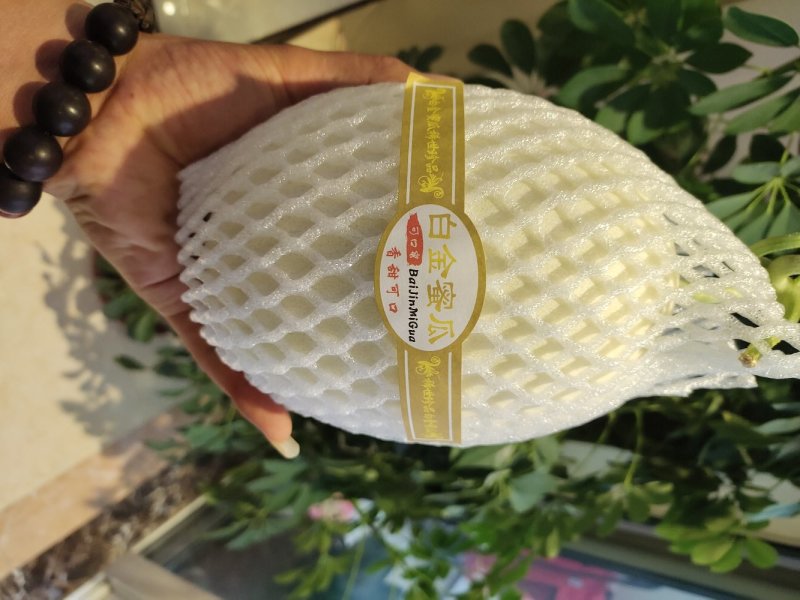 山东翠梨甜瓜白金密蜜瓜专业代收，货源充足。