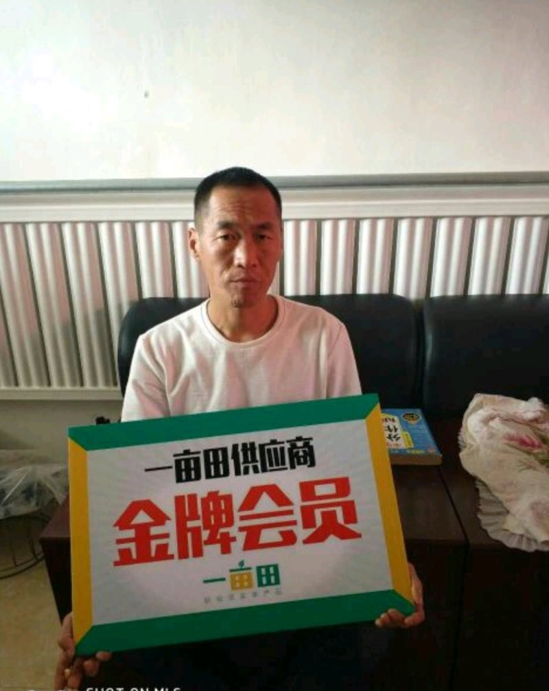 【香菜】河北大叶香菜产地直发可视频看货品质保证
