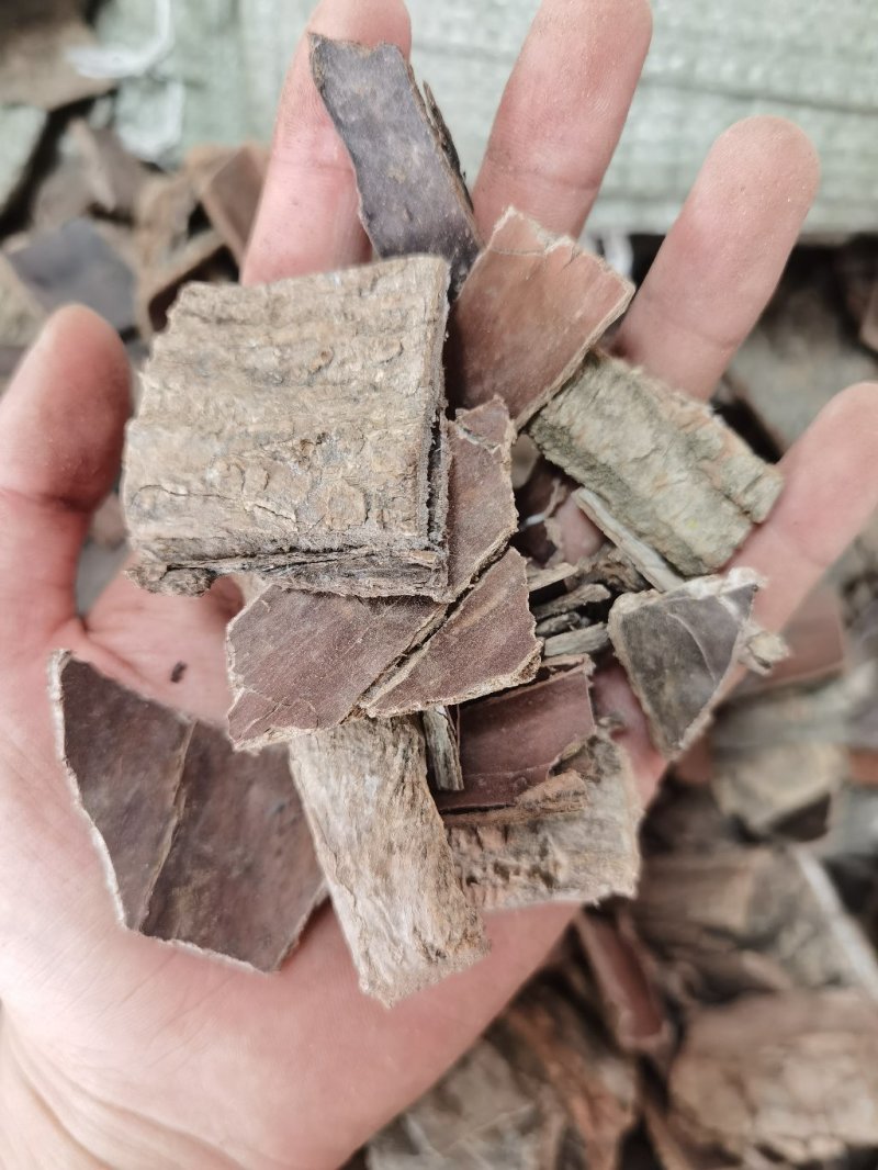 杜仲中药材杜仲片杜仲皮野生杜仲原色无添加正品质量