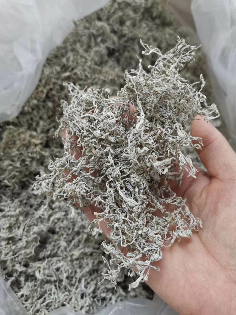 湖南特产龙须莓茶罐装，产地直销