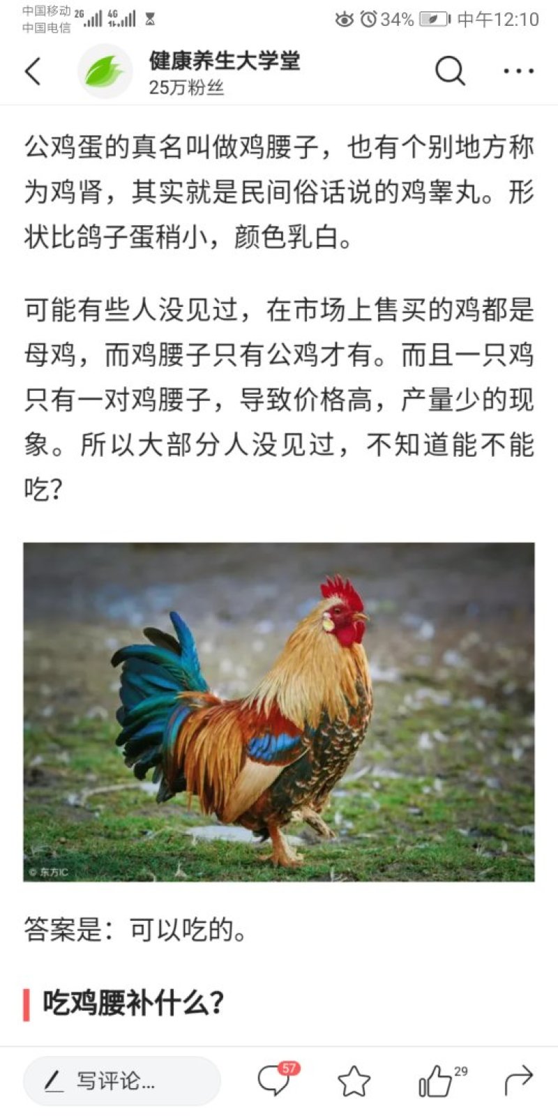 大公鸡鸡腰子，鸡罩丸，鸡子