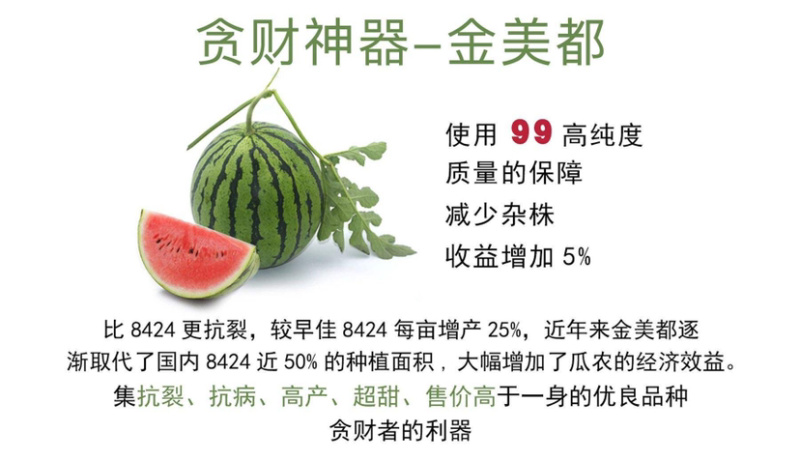 🔥🔥🔥万亩美都西瓜，产地直销，全国供货中