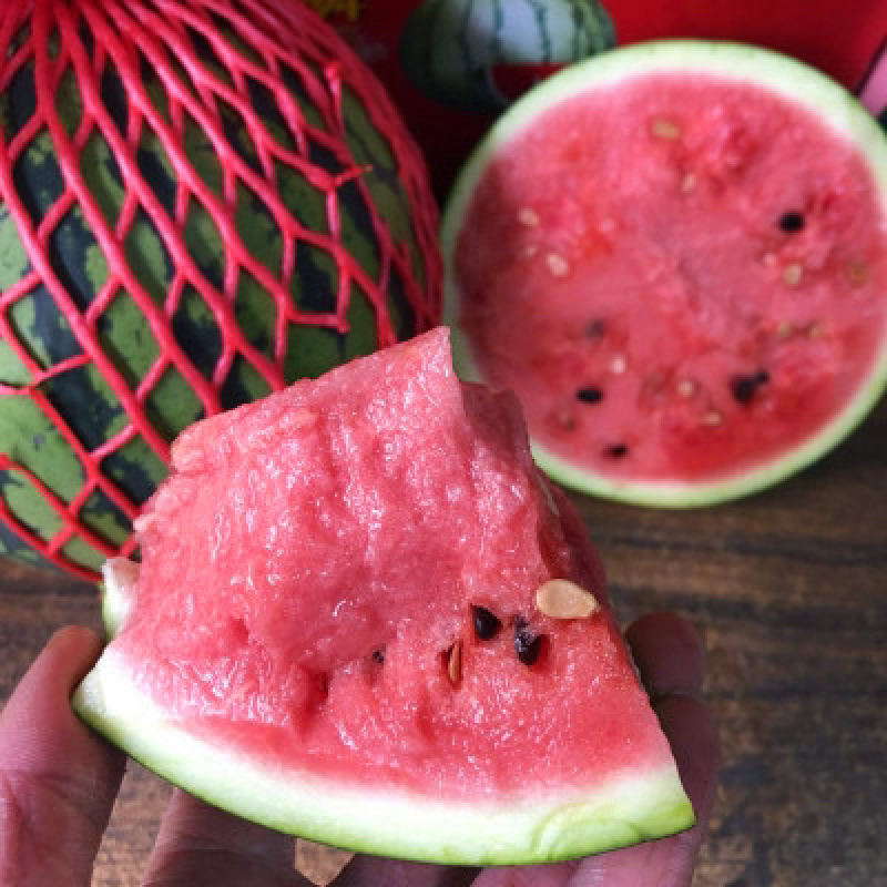 🍉🍉🍉精品8424西瓜，精品西瓜，火爆销售中