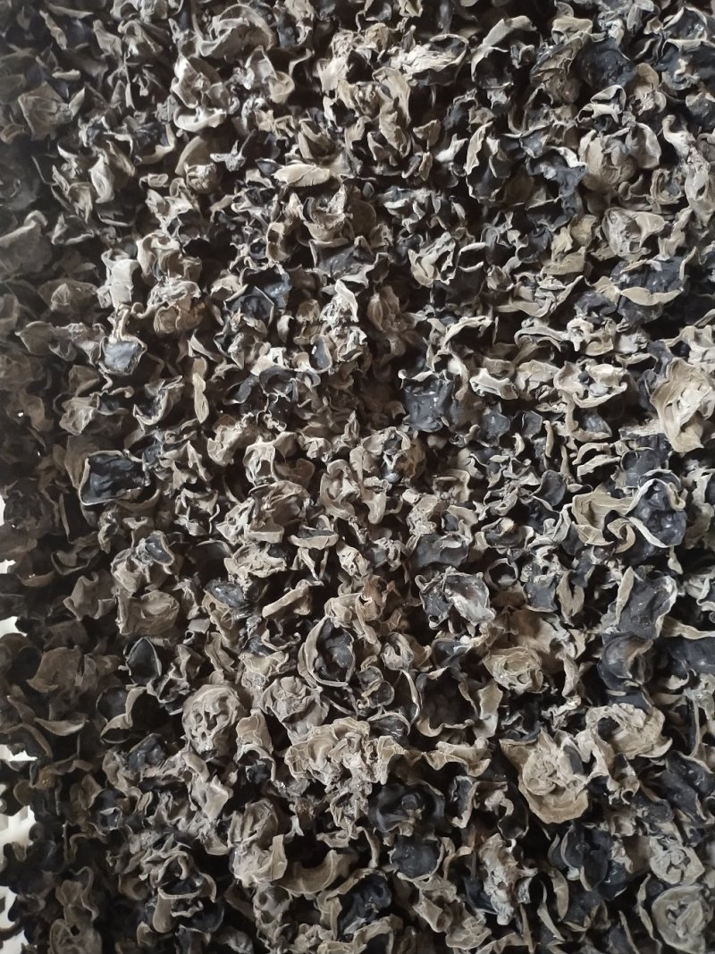 黑木耳自己种植，一手货源产地直发需要的联系我