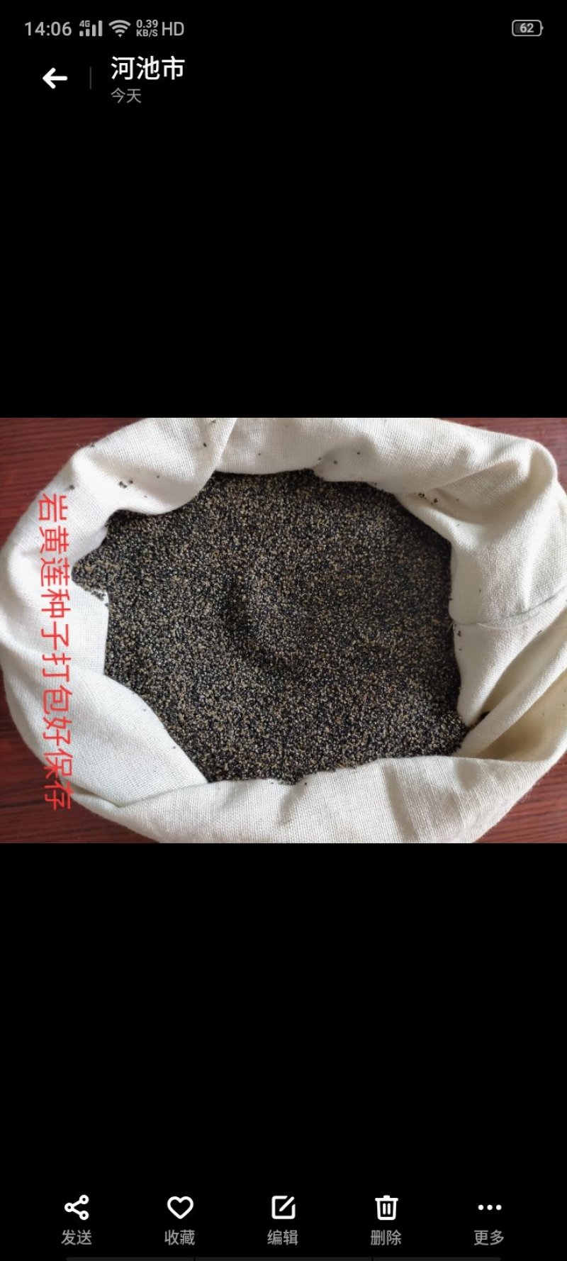 防野人工种植岩黄莲/产地直销/货源充足