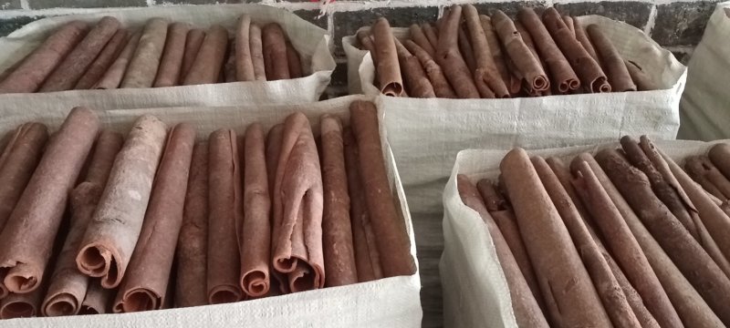 精选中通。够靓够辣中通桂皮，定装40kg。优质精品
