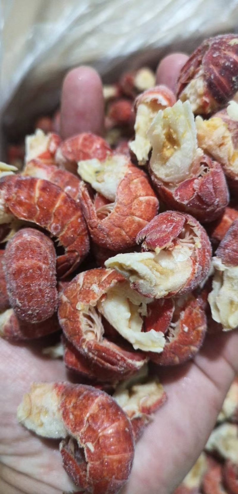 虾尾