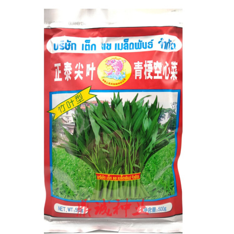 广联空心菜种子竹叶型正泰尖叶青梗空心菜