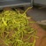 药茶两用纯无硫产品