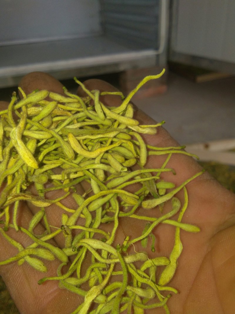 药茶两用纯无硫产品