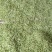 药茶两用纯无硫产品
