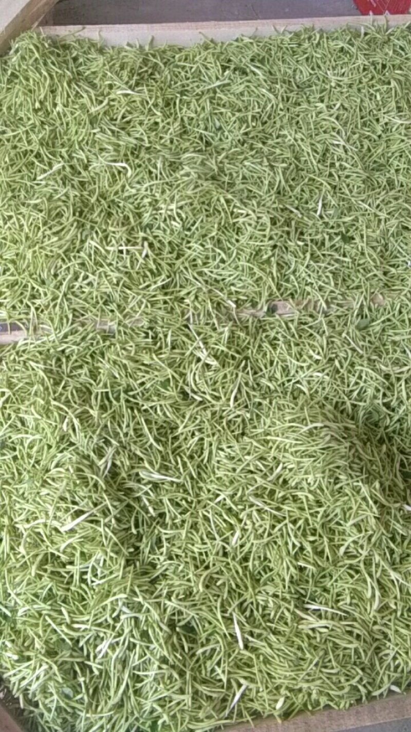 药茶两用纯无硫产品