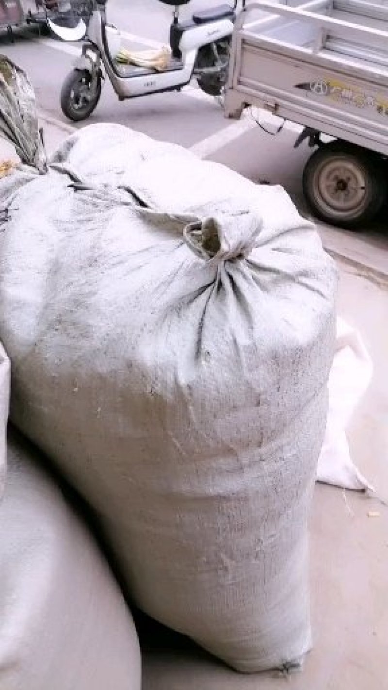 野生无硫丹参参片货好才是真好质量才是我的目标