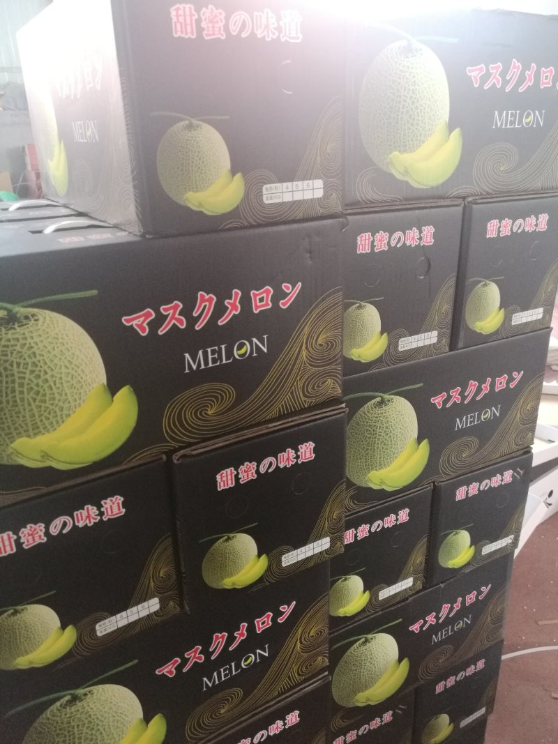 西州蜜25，脆甜可口，是我们这里的地理标志产品