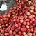 山东沂蒙山优质油桃，油四，油五，品种齐全，数量大，价格便