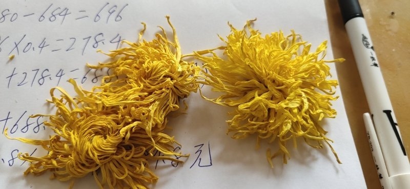 金丝黄菊花茶