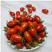 花生番茄种子超甜小西红柿种籽特色樱桃番茄圣女果超