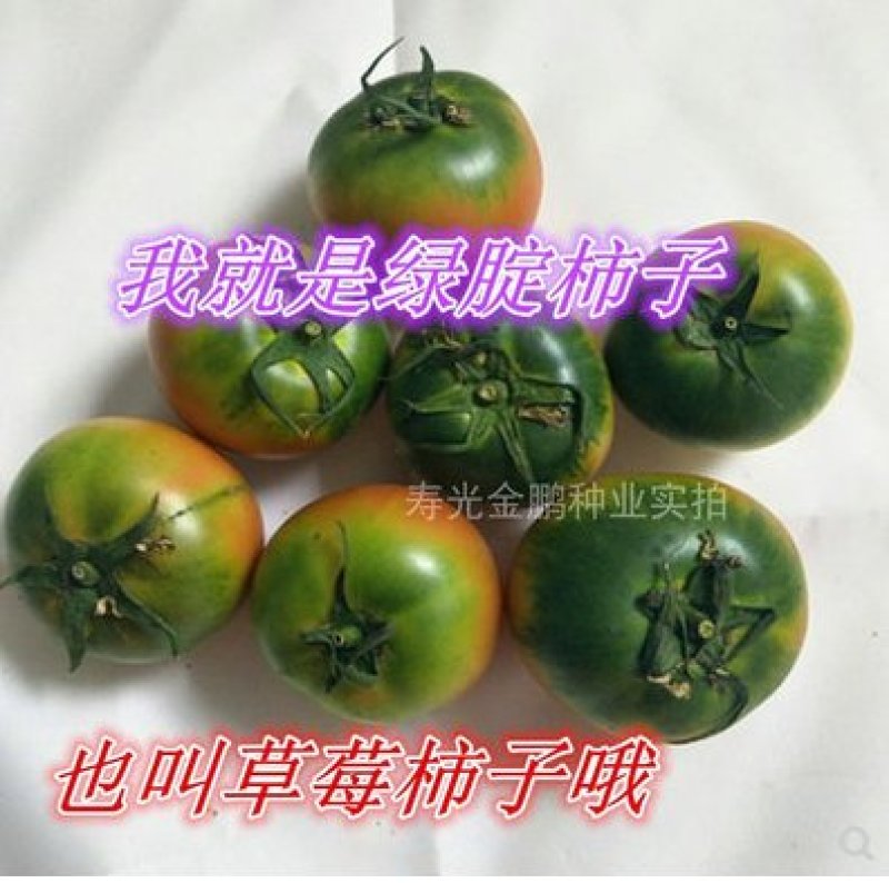 西红草莓番茄种子绿腚西红柿种籽丹东铁皮油柿子嘉兰