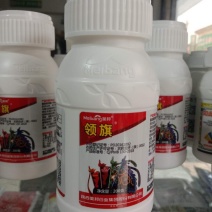 高氯氟杀虫谱广见效快，安全高效欢迎老板前来选购可视频