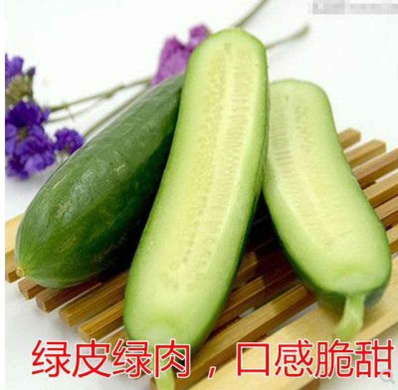 无刺水果黄瓜种子水果黄瓜籽小黄瓜乳瓜种子