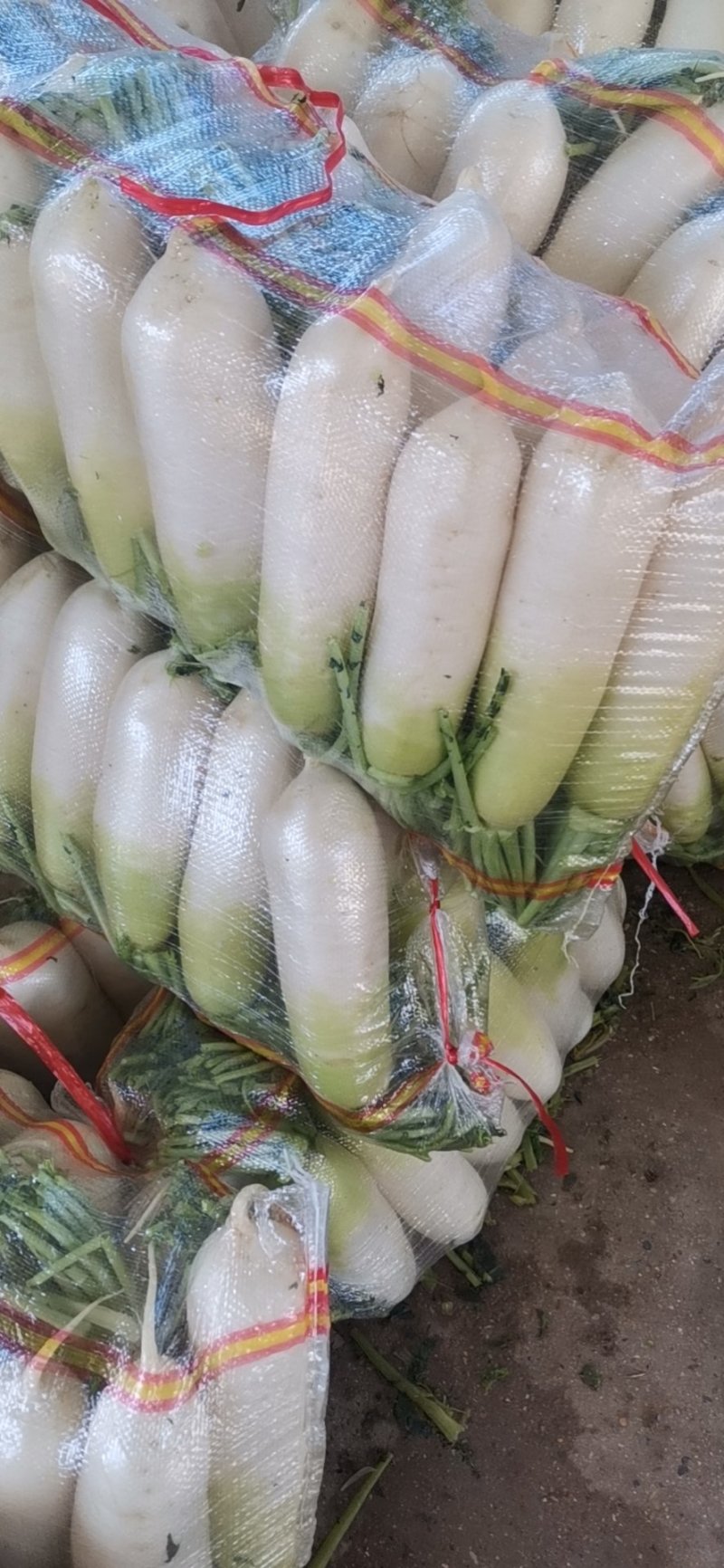 热销甘肃临洮水果萝卜大量现货一手货源量大从优