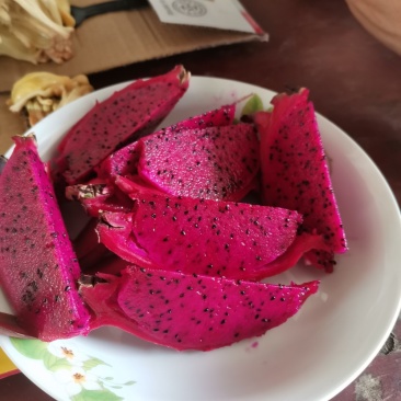 金都一号火龙果
