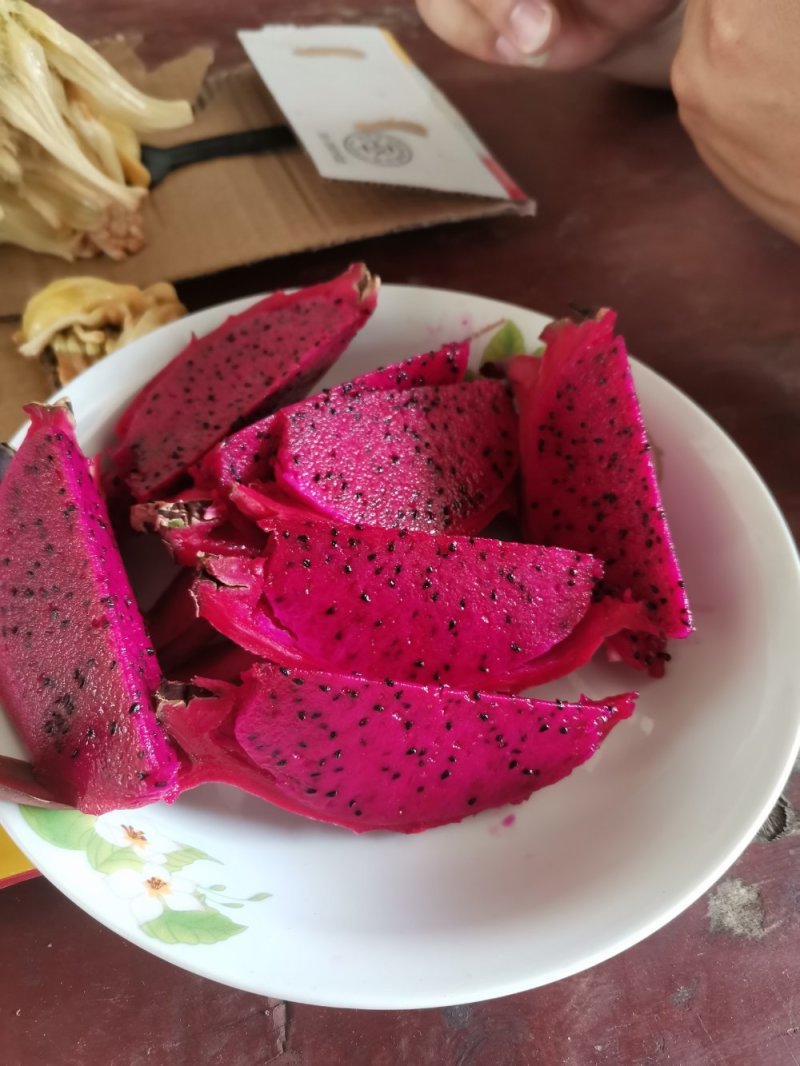 金都一号火龙果