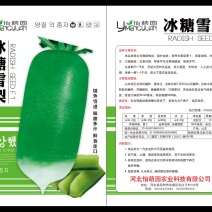 水果萝卜种子精品水果萝卜种子供应