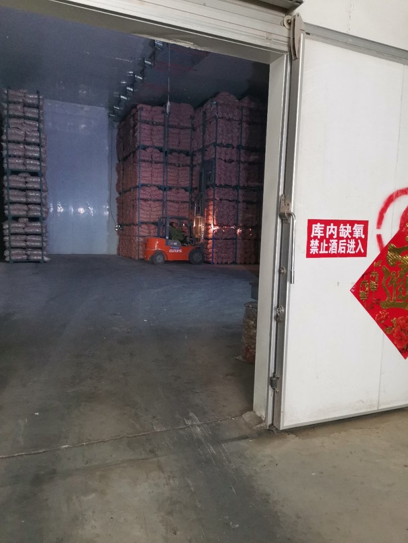 金乡冷库白皮大蒜，新蒜老蒜，各个规格全部有货，保证质量