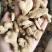 【文斌药业】炮姜统货在线交易地道药材