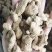 【文斌药业】炮姜统货在线交易地道药材