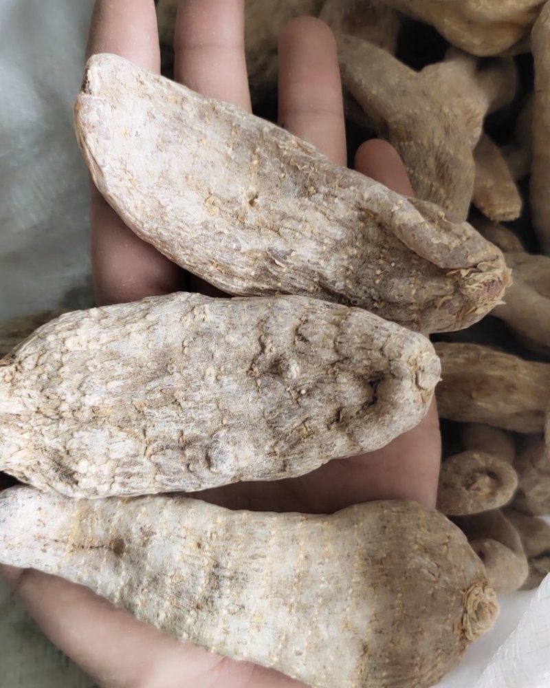 【文斌药业】天麻个纯玻璃碴在线交易极速发货