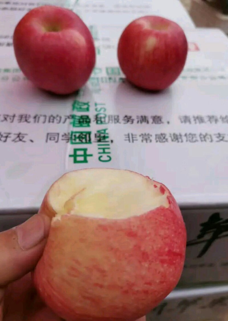 万亩果园陕西光果膜袋嘎啦苹果果园产地直销可视频看货