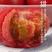 陕西普罗旺斯番茄西红柿一件代发，实力专业电商平台供应