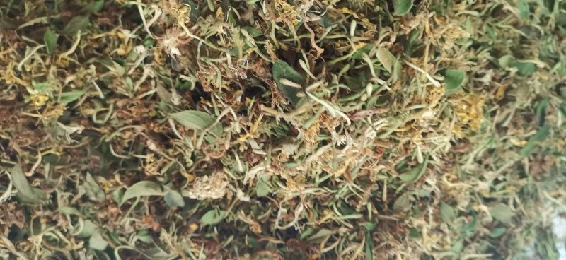 自然晒干无硫野生家种金银花