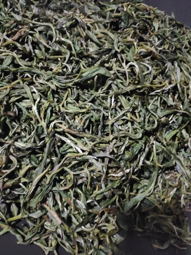 【优质】普洱茶正宗古树茶一手货源量大从优欢迎咨询
