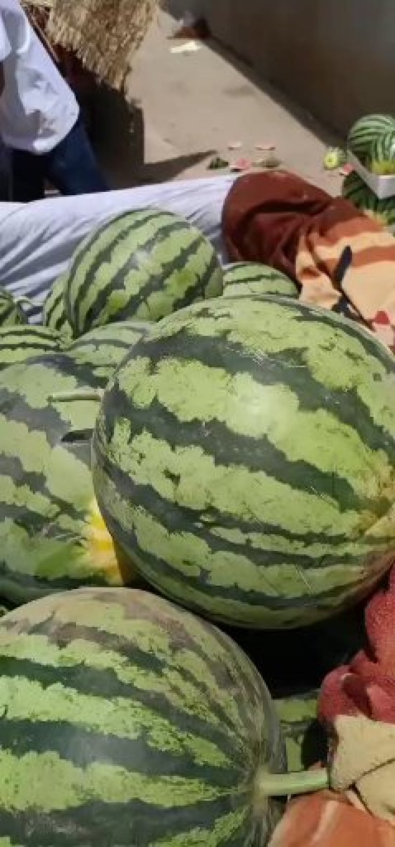万亩优质大棚，头茬，精品8424，西瓜，
