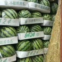 万亩优质大棚，头茬，精品8424，西瓜，