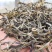 【热卖】普洱茶云南正宗古树茶自产自销可视频看货