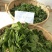 【普洱茶】云南正宗古树茶口感醇香品质保证量大从优