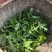 【普洱茶】正宗古树茶一手货源口感香醇量大从优