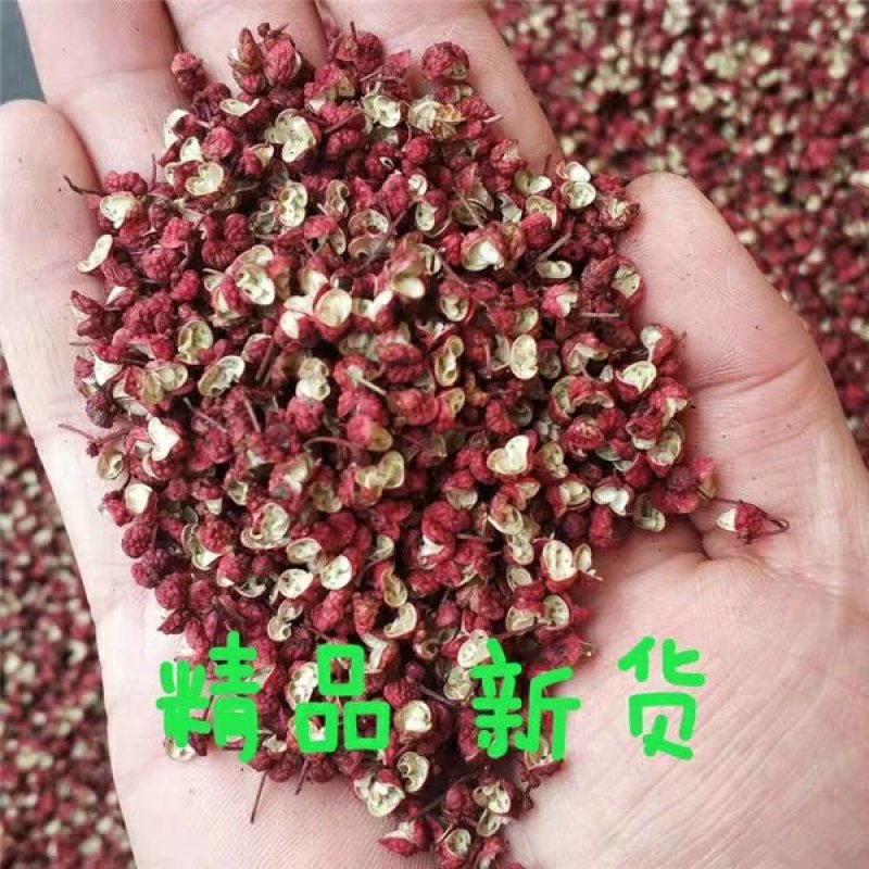 甘肃陇南武都大红袍花椒特级食用花椒伏椒粒500g，