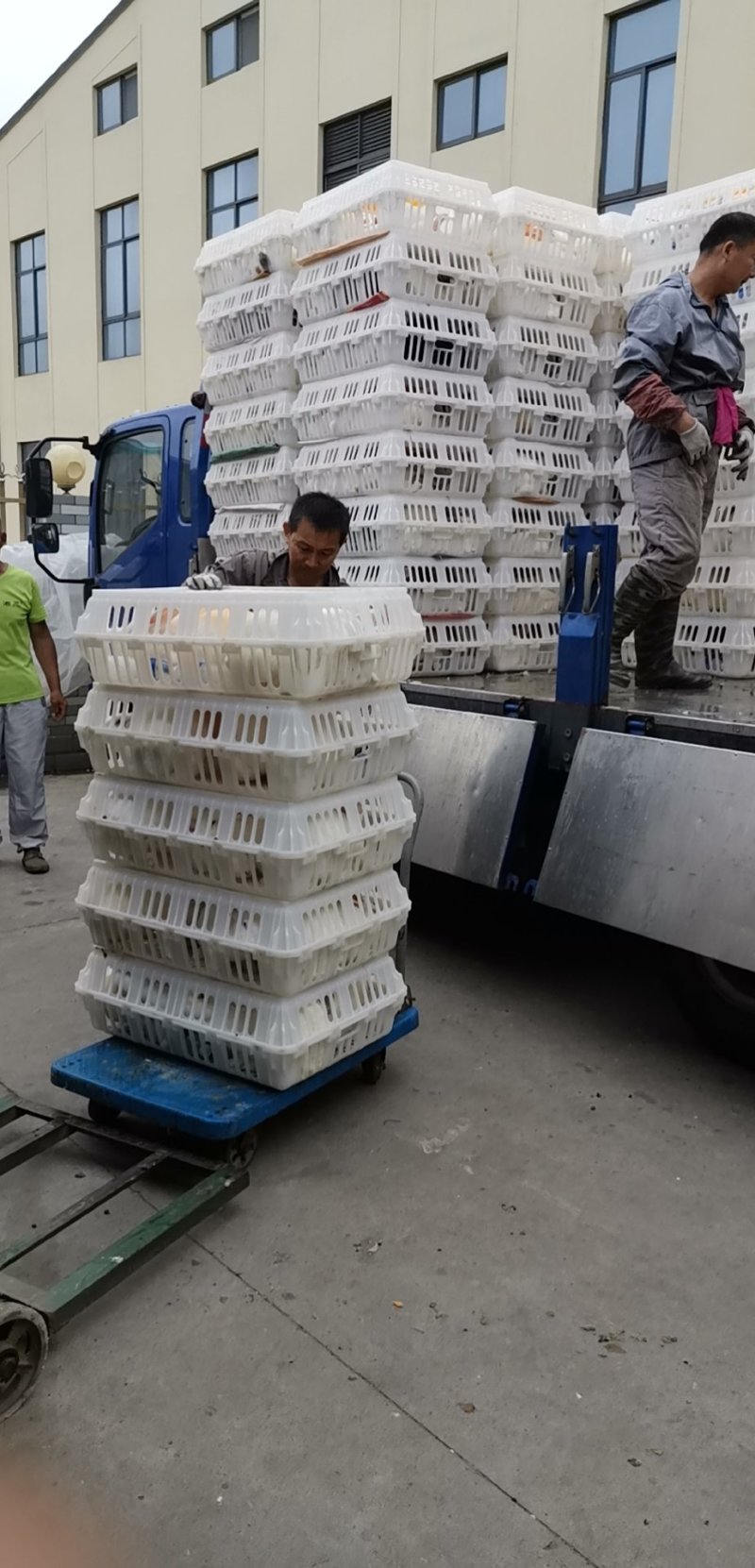 自产自销供应鲜新兔后腿兔大腿兔腿纯干速冻可真空包装