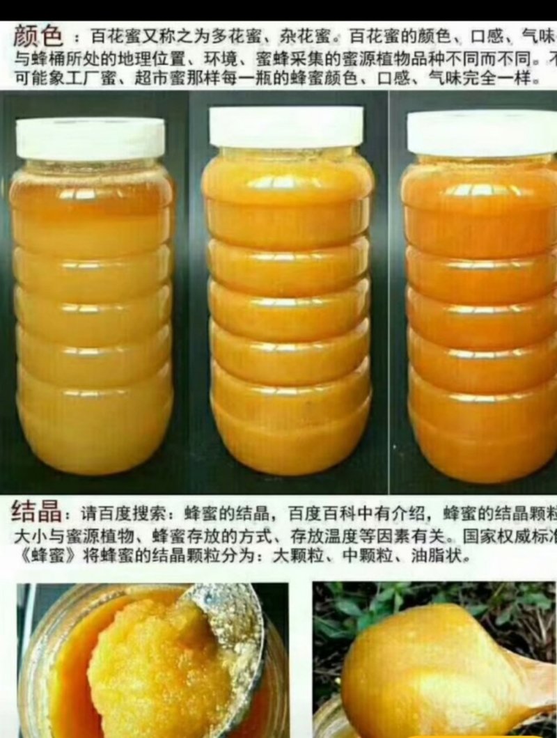 土蜂蜜甘肃省陇南市徽县深山土蜂蜜