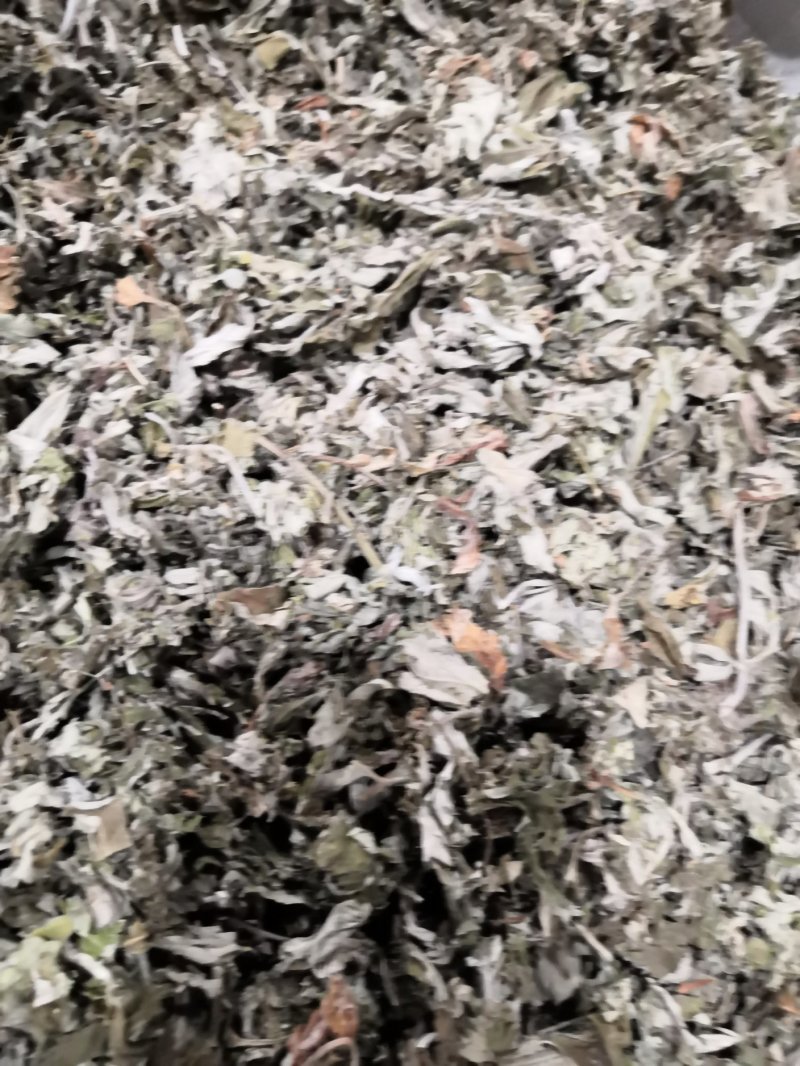 艾草中药材各种规格大货批发供应一手货源价格优。