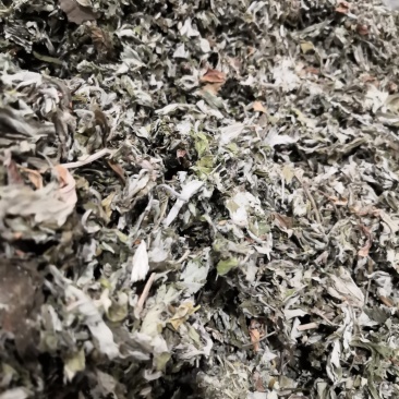 艾草中药材各种规格大货批发供应一手货源价格优。